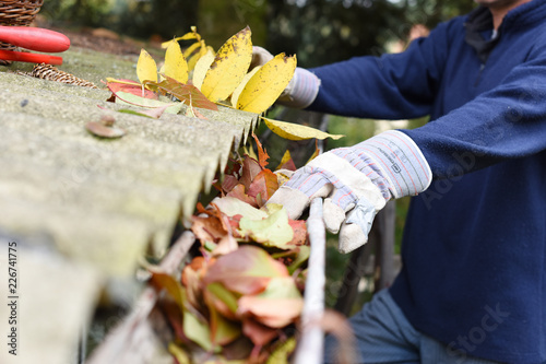 Cuadros en Lienzo Leaves in eaves. cleaning gutter blocked with autumn leaves.