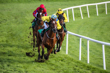 Wall Mural - Jockey and race horse taking the lead in a race