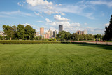 Fototapeta Krajobraz - gardens and cityscape in, St. Paul, Minnesota,
