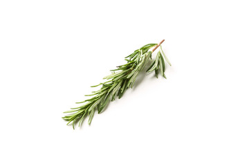 A branch of rosemary isolated on white background