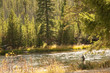 fisherman on the madison river in autumn