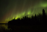 Fototapeta Tęcza - Northern Lights in Kuusamo, Finland