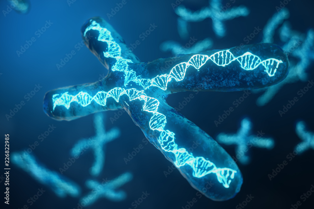 3D illustration X-Chromosomes with DNA carrying the genetic code ...