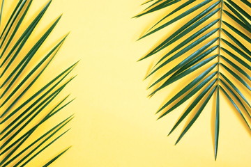 Wall Mural - Tropical palm leaves on yellow background. Summer background. Flat lay, top view, copy space 