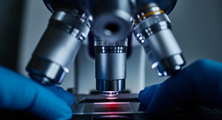 Wall Mural - scientist hands with sample slide on microscope close-up shot in the laboratory