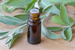 © Madeleine Steinbach - A bottle of sage essential oil with fresh sage