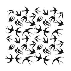 Poster - Swallows, background for your design