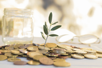 coins piled up with young plant and glasses, savings and pensions