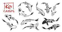 Set Of Koi Carps, Japanese Fish. Korean Animals. Engraved Hand Drawn Line Art Vintage Tattoo Monochrome Sketch For Label.