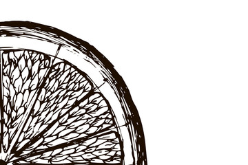 Orange slice on white background. Hand-drawn, doodle, vector, zentangle, tribal design element. Black and white background. Made by trace from sketch. Coloring book page for adult.