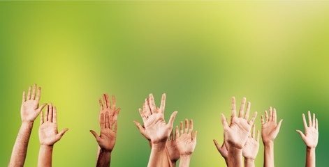 Wall Mural - Set of raised group hands