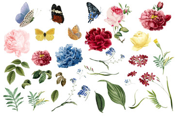 various romantic flower and leaf illustrations