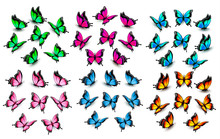 Colorful Butterflies Set. Vector.