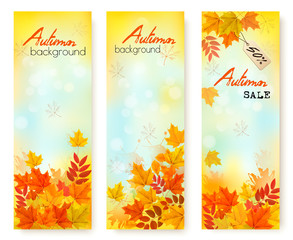 Poster - Three Autumn Sale Banners With Colorful Leaves. Layered Vector