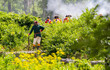 British American Revolutionary War Reenacters Fire Their Guns