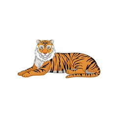 Canvas Print - Lying Bengal tiger isolated on white background. Large wild cat. Animal with orange coat and black stripes. Vector illustration