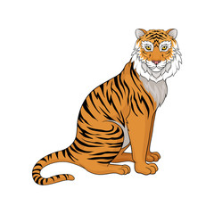 Wall Mural - powerful tiger sitting isolated on white background, side view. wild animal with orange coat and bla