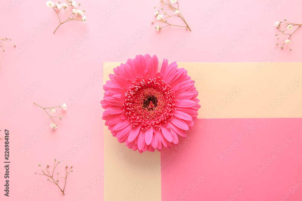 Beautiful flowers on pink background