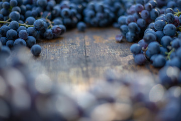 Winery brand logo background. Blue grapes on the top of wine barrel with blurry background.