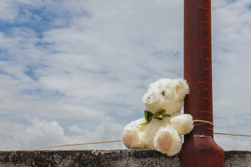 Bear doll with green bow tie and cloudy blue sky background