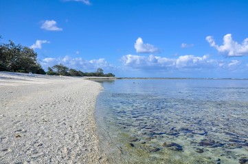 Tropical beach and clear sea