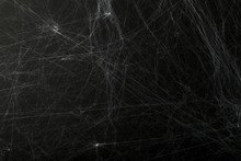 Halloween Creepy Cobweb Spiders Web With A Black Background