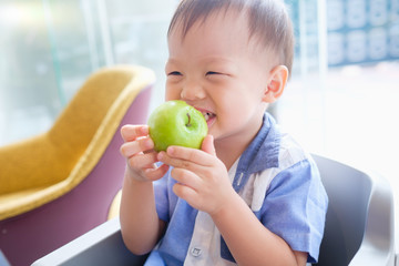 Cute little Asian 30 months / 2 years old toddler baby boy child sitting on high chair holding, biting, eating an unpeeled whole green apple as breakfast in restaurant, Good food for kids concept