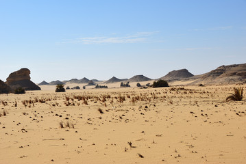Wall Mural - Landscape of the Western desert Sahara, Egypt