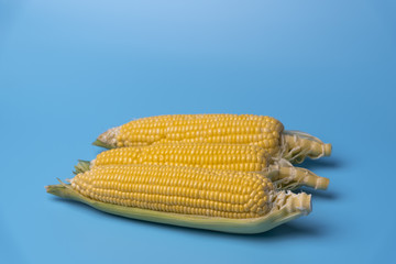 fresh organic corn on blue background