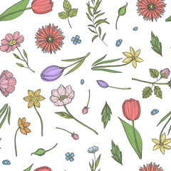 Poster - vector hand drawn flowers pattern or background illustration. colored plant and flowers