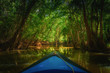 Dominica Rowing boat paddling into the mangrove with trees and beautiful soft sunlight in the background, dark river. Blurry boat and sharp trees on the indian river of Dominica