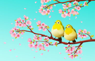 Cute couple of green japanese white-eye birds on sakura tree with cherry blossom and blue sky. Vector illustration.