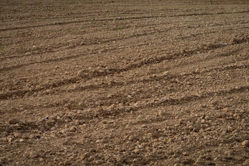 Wall Mural - champ de terre labourée