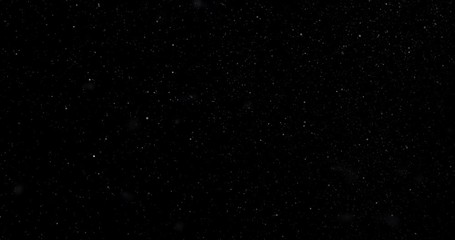 Wall Mural - natural white winter snowfall on a black background