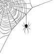 Vector illustration of a corner web/spider design.