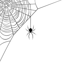 vector illustration of a corner web/spider design.