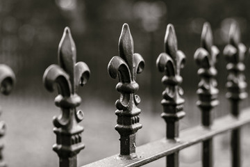 Fleur de Lis Fence