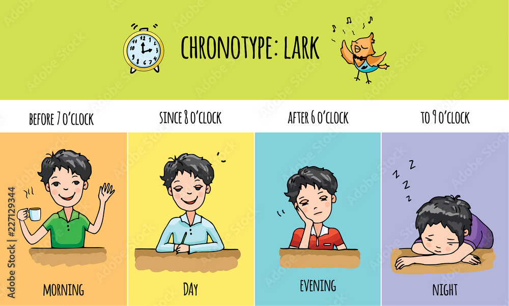 Chim Sơn Ca (Morning Lark):