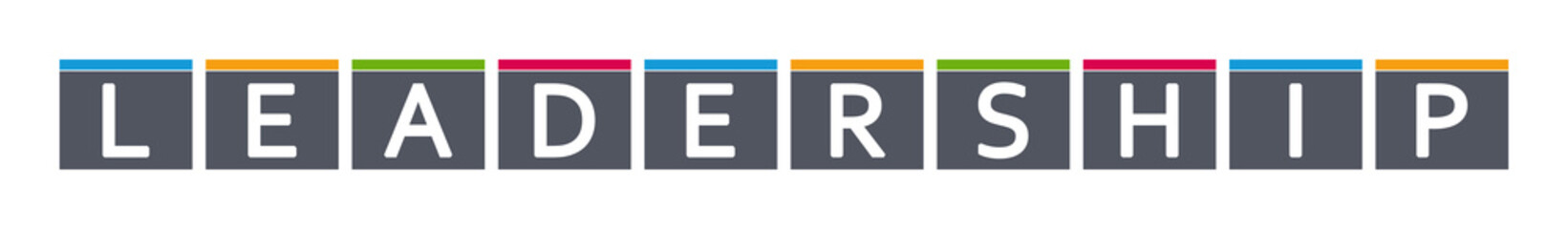 leadership - letters written in gray boxes on white background