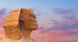 View of the sphinx Egypt, the giza plateau in the sahara desert	