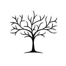 Silhouette Tree Without Leaves Vector  