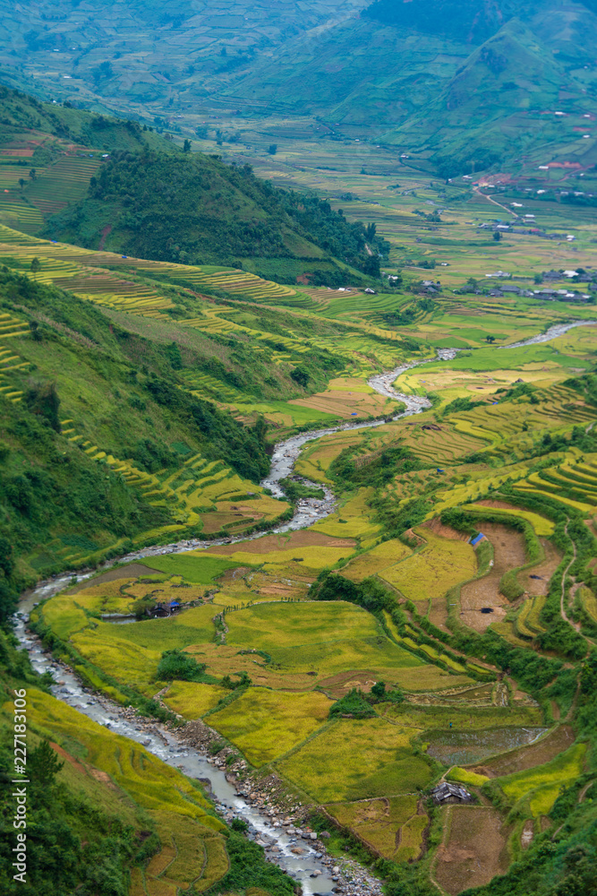 Mu Cang Chai terraces rice fields in harvest season - obrazy, fototapety, plakaty 