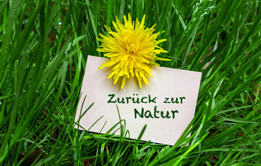 Poster - Zurück zur Natur