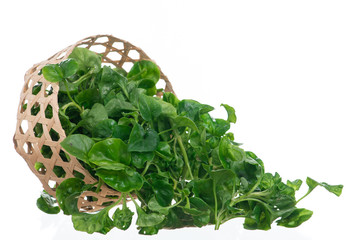 Poster - Fresh Watercress  on white background