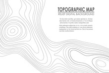 Topographic Map Contour Background. Line Map With Elevation. Geographic World Topography Map Grid Abstract Vector Illustration.