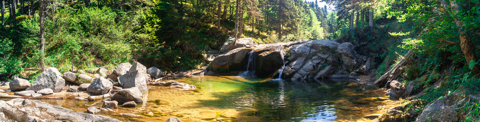 Poster - Small River Among Forest in Uludag National Park