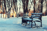Fototapeta Most - Winter Park bench Alley