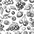 Wild berry seamless pattern drawing. Hand drawn vintage vector background.