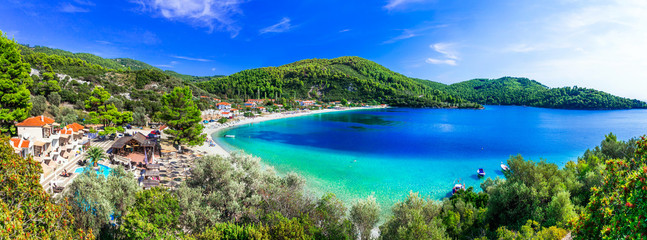 Wall Mural - Best beaches of Skopelos - beautiful Panormos bay. Sporades islands of Greece