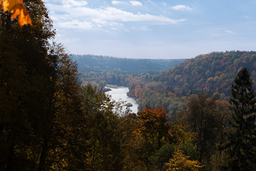 Beautiful forest in autumn with colorful trees on a sunny day. Sigulda Latvia